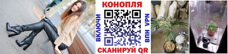 Названия наркотиков Данков Псилоцибиновые грибы  Cocaine  ГАШИШ  Alpha-PVP  Мефедрон  Каннабис 