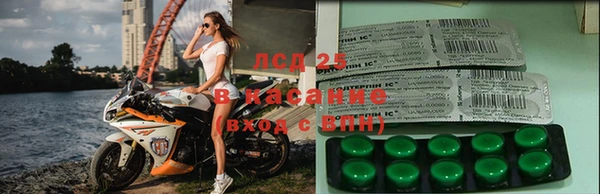 PSILOCYBIN Володарск